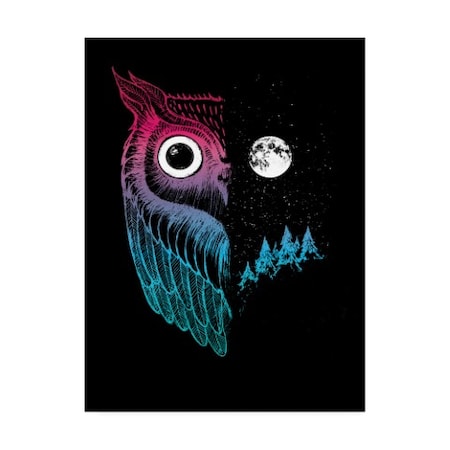 Michael Buxton 'Night Owl Moon' Canvas Art,18x24